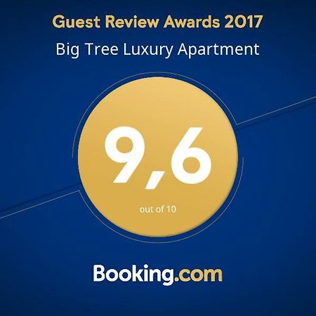 Big Tree Luxury Apartment Roma Exterior foto